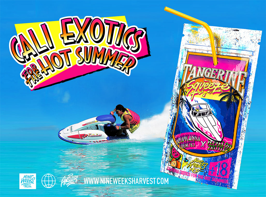 Cali Exotics for the Hot Summer