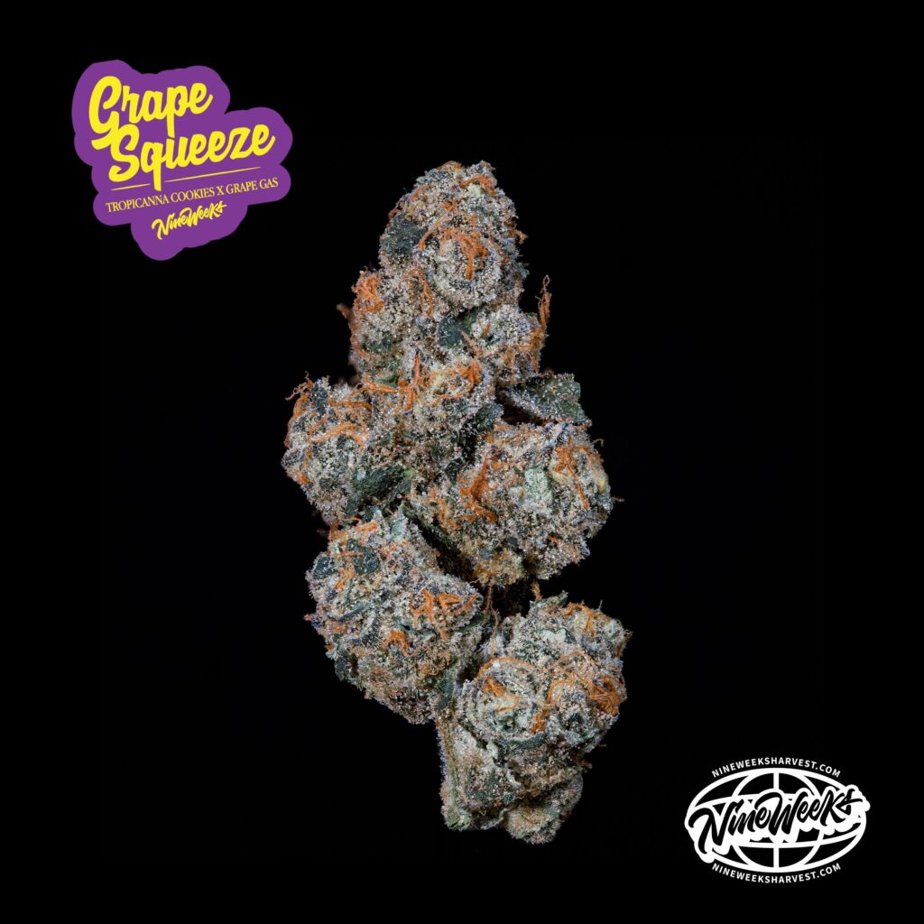2-LOGOS-NUG-SHOT-GRAPE-SQUEEZE
