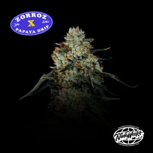PAPAYA ZORROZ